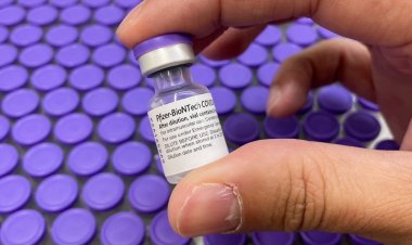 Covid-19: mau tempo nos EUA faz Pfizer reprogramar entrega de 55º lote de vacinas ao Brasil