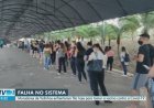 Falha em sistema provoca longas filas em ponto de vacinação contra Covid de Valinhos