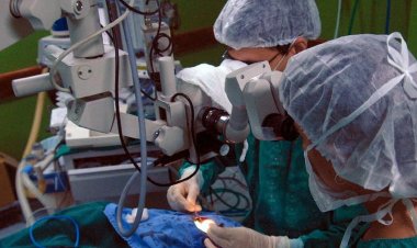 Campanha alerta que família tem palavra final na doação de órgãos