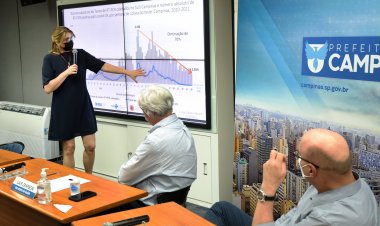 Árvore cai sobre veículo em bairro residencial de Campinas