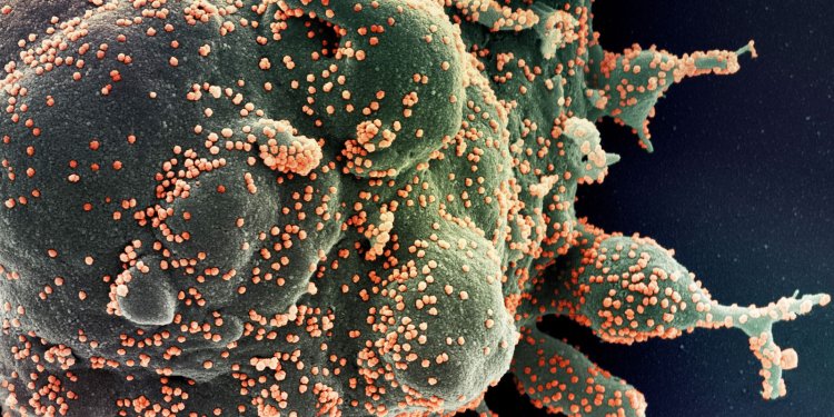 Brasil registra 6 vezes mais casos diários de covid-19 que em dezembro