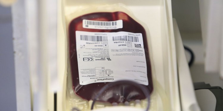 Saúde e Anvisa atualizam regras para doação de sangue durante pandemia