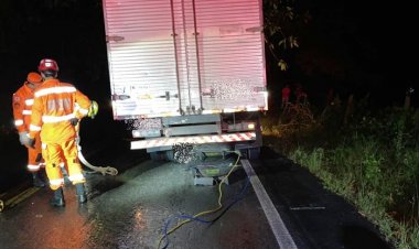 Mais um acidente envolvendo vaca e caminhão entre Ubá e Guidoval mata um motociclista