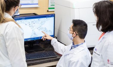 Fapesp reajusta em 15% o valor de todas as bolsas no país