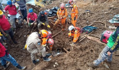 Bombeiros de Minas e cães da corporação ajudam a localizar três vítimas em Petrópolis