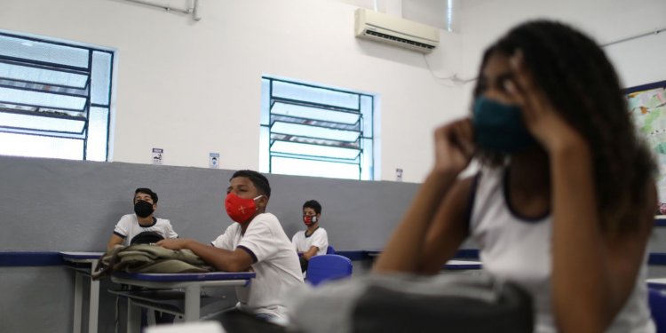 Senado aprova política de atenção à saúde mental nas escolas