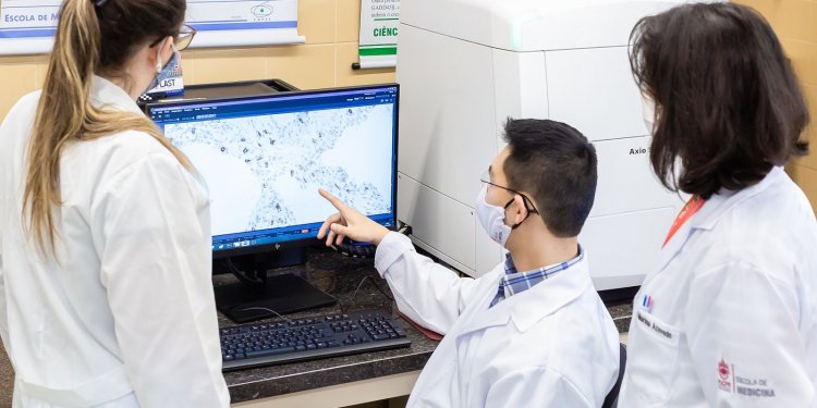 Fapesp reajusta em 15% o valor de todas as bolsas no país