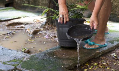 Saúde repassa R$ 40 milhões para combate ao mosquito da dengue nos municípios mineiros