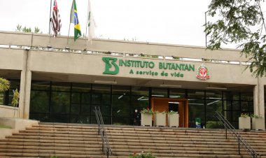 Vacina única contra covid-19 e influenza tem resultados promissores