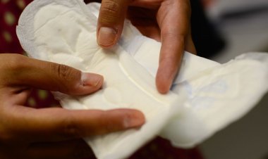 Congresso derruba veto à distribuição de absorventes para estudantes