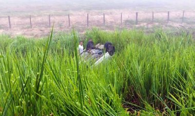 Motorista sai ileso após perder direção e carro capotar em Leopoldina