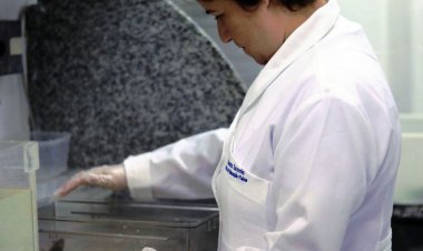 Mulheres são 46% do total de pesquisadores da América Latina e Caribe