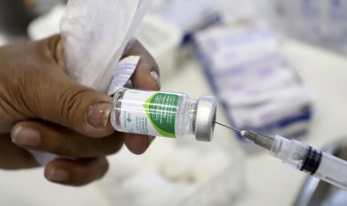 Campanha nacional de vacinação contra a gripe começa em 4 de abril