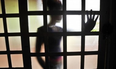 Senado aprova PL que aumenta pena para violência contra crianças