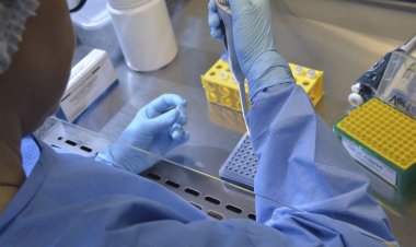 Plataforma reúne dados genômicos de bactérias multirresistentes