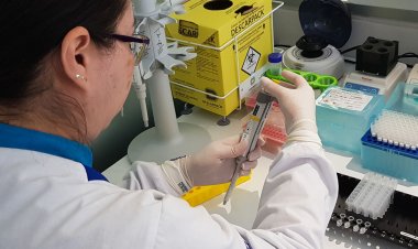 Cientistas publicam artigo que conclui mapeamento genético humano