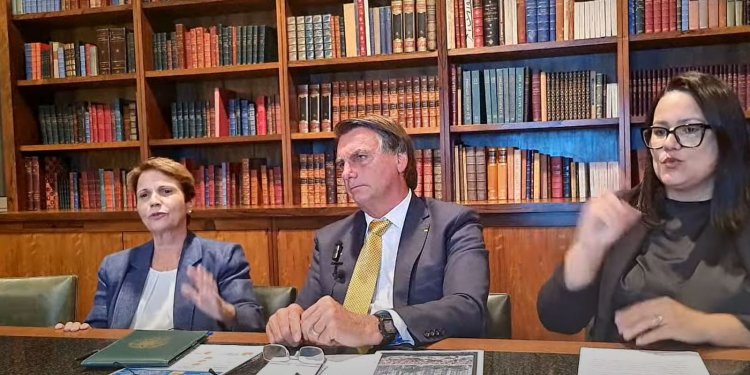 Plano nacional de fertilizantes será lançado este mês, diz ministra