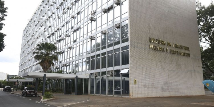 Câmara aprova prorrogação de contratos temporários na Agricultura