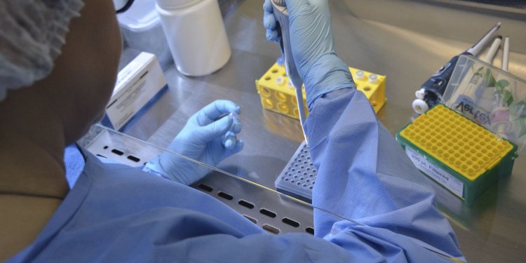 Plataforma reúne dados genômicos de bactérias multirresistentes