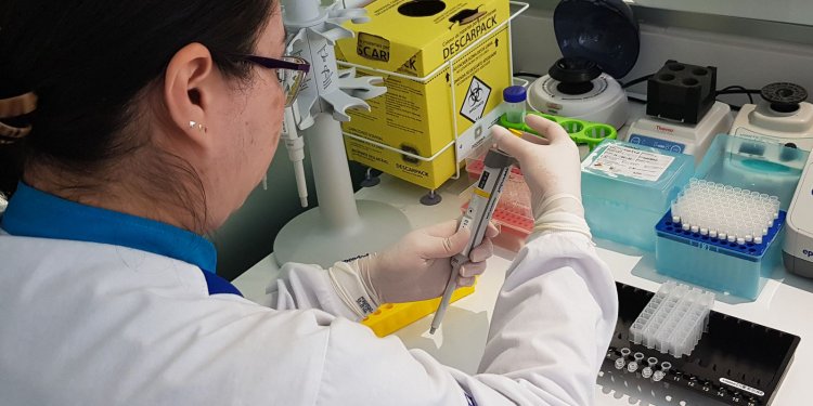 Cientistas publicam artigo que conclui mapeamento genético humano