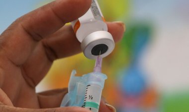 Covid-19: vacinas usadas no Brasil elevam proteção contra reinfecções