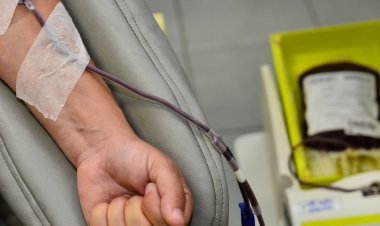 RJ: começa hoje campanha para doar sangue no carnaval fora de época