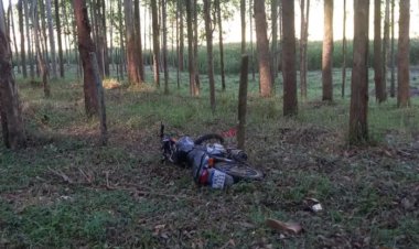 Motociclista desabilitado morre após bater em eucalipto em Ervália