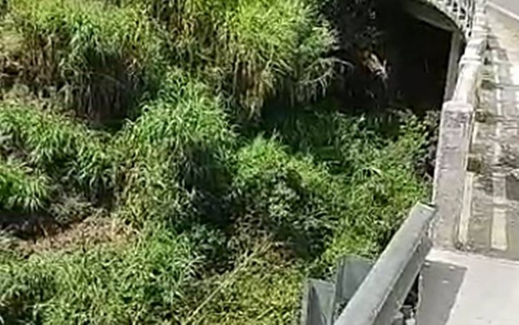 Motociclista sobrevive após cair de ponte de 25 metros na BR-267 em Argirita