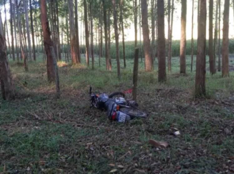 Motociclista desabilitado morre após bater em eucalipto em Ervália