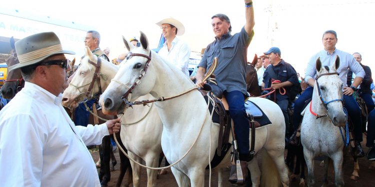 Governo age para manter fornecimento de fertilizante, diz presidente