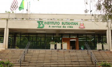 Covid-19: Butantan identifica nova variante recombinante em São Paulo