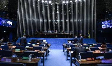 Senado aprova legislação para cães de apoio emocional