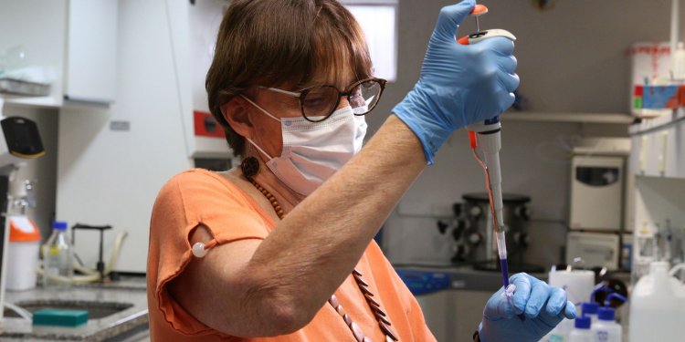 Academia de Ciências debate no Rio meio ambiente, tecnologia e saúde