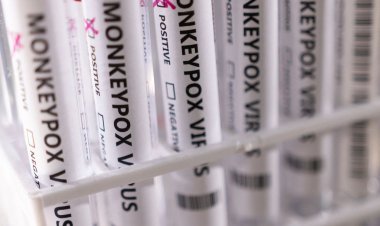 Ministério da Saúde confirma 8º caso de varíola dos macacos no país