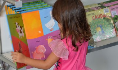 Senado aprova PL que inclui compromisso de alfabetização e na LDB