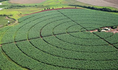 Senado aprova MP que aumenta garantias para setor agro captar recursos