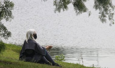 Covid-19: Brasil registra 215 mortes e 43,6 mil novos casos