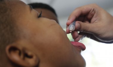 OMS: vacinação infantil tem a maior queda contínua dos últimos 30 anos