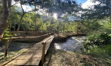 Gisele Bundchen anuncia doação para ONG de preservação ambiental em Muriaé
