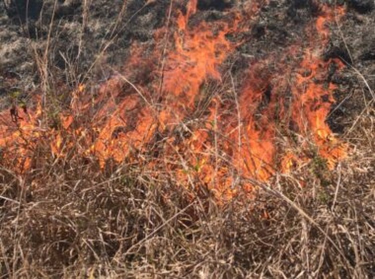 Incêndio queima 3 hectares de mata em Teixeiras