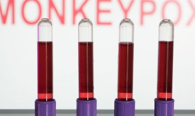 Varíola dos macacos: entidades criticam estigma a homossexuais