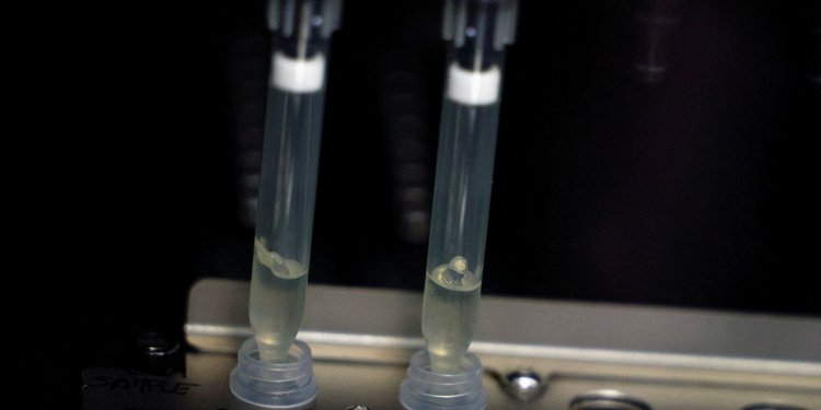 SP define medidas para prevenção e controle da varíola dos macacos