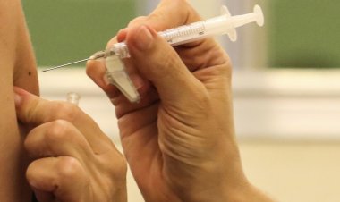 Covid-19: Brasil tem 10,2 mil novos casos e 97 mortes em 24 horas