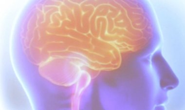 Dia Mundial do AVC: campanha alerta para sinais e diagnóstico rápido