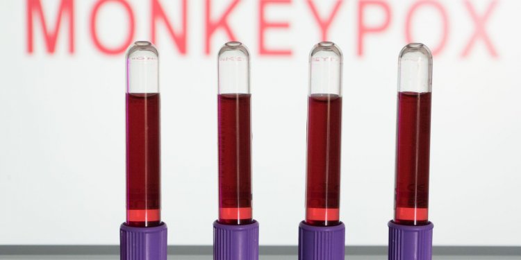 Ministério da Saúde amplia testagem de varíola dos macacos