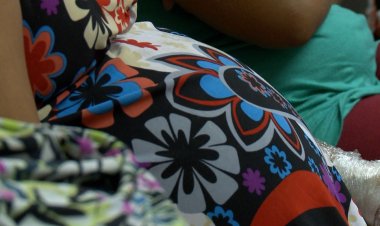 Estudo avalia impacto em bebês da infecção materna por zika