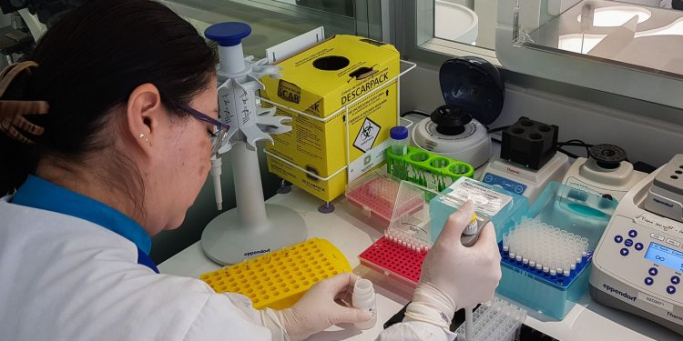 Instituto fará mutirão de teste de paternidade em São Paulo