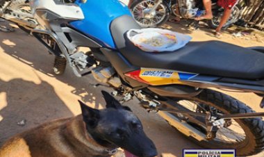 Polícia Militar através do Disque Denúncia unificado 181, localiza drogas no beco do Sapo