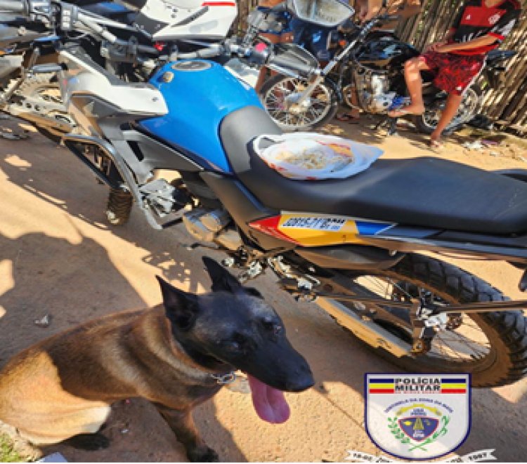 Polícia Militar através do Disque Denúncia unificado 181, localiza drogas no beco do Sapo