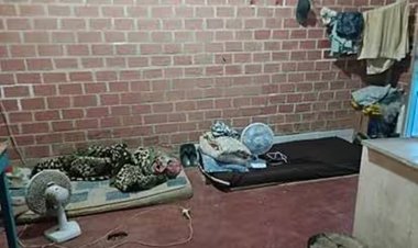 Oito trabalhadores são resgatados de condições análogas à escravidão em Rio Pomba